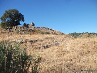ano Margi-27-08-2014 09-13-18